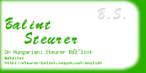 balint steurer business card